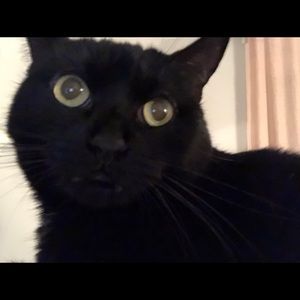 Meet your Posher, Rosa